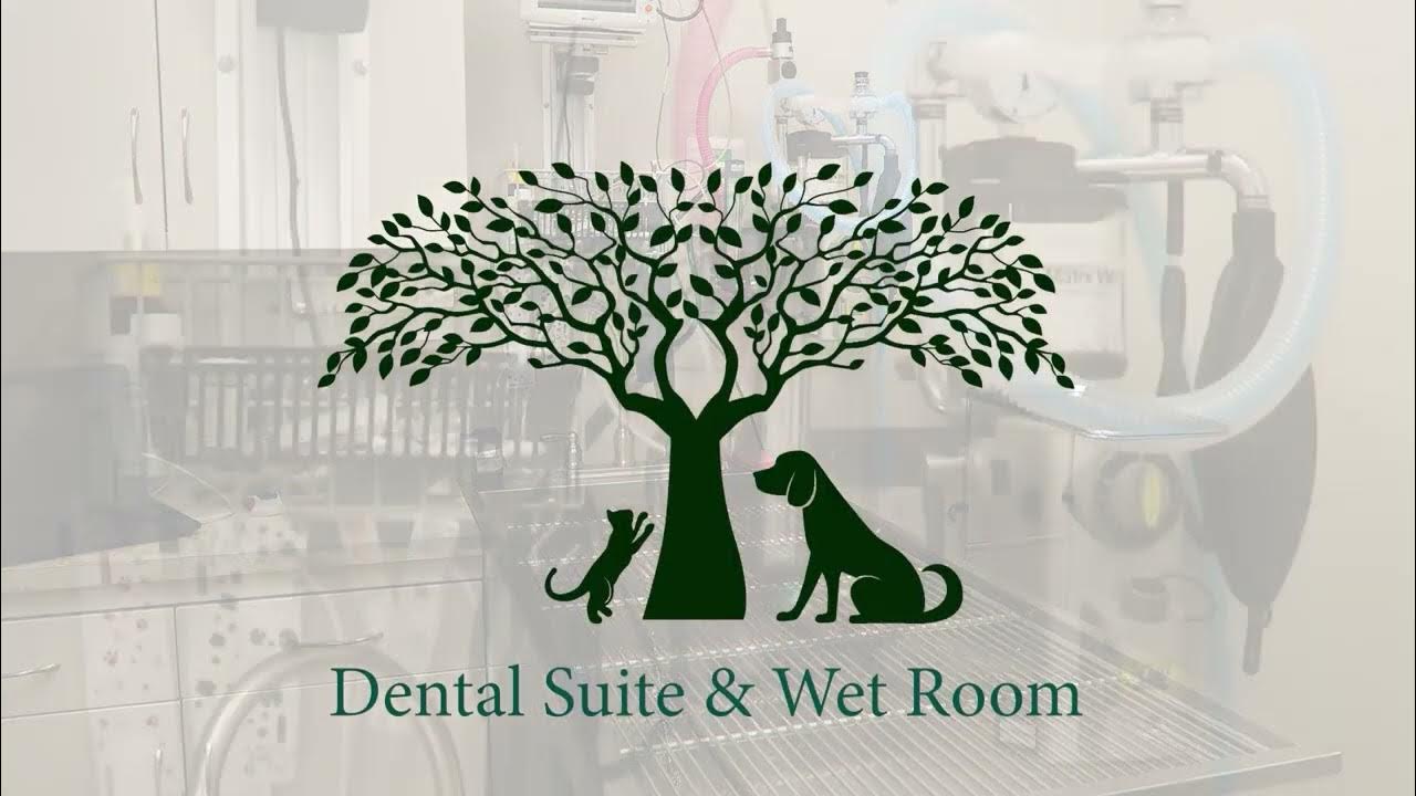 Full Virtual Tour Shaker Heights Animal Hospital *NEW LOCATION* YouTube