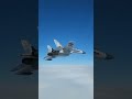 SU-27 TNI AU|Military #tniau #tni #militerindonesia #su27 #shorts