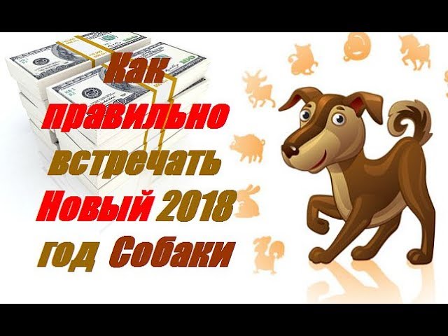 Как правильно встречать Новый 2018 год Собаки Желтой Земляной Собаки