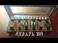 Моя коллекция часов (январь 2019 года)