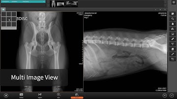 3Disc QuantorVet 720p