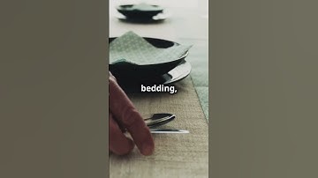 Tips to avoid monkeypox! #monkeypoxnews #monkeypoxcases #mpox #mpoxvirus