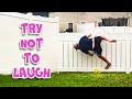 TRY NOT TO LAUGH CHALLENGE 😂 AFV Epic Fails Of The Week