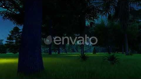 Movement In Jungle | Motion Graphics - Envato elements