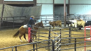 Miss Scoot N Toot - sorting practice - run #1 - Valley View Ranch