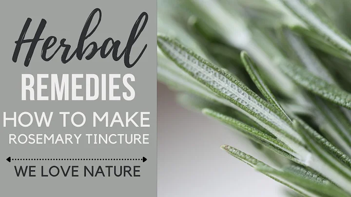 Herbal Remedies: How to make Rosemary Tincture.