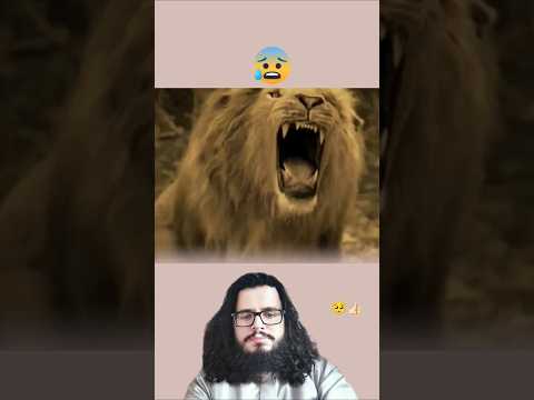 حيوانات عبارات لقطات