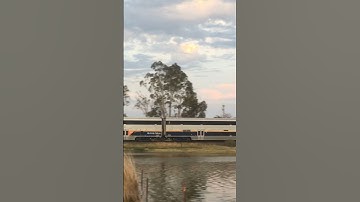 Thumbnail of Tren al sur