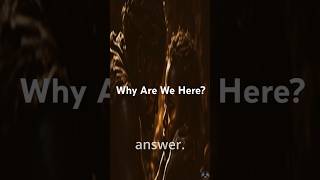Why Are We Here?