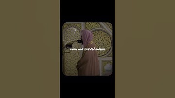 #أحمد_طالب #القرآن #القرآن_الكريم #تلاوة_خاشعة #رمضان_كريم #اكتب_شي_تؤجر_عليه