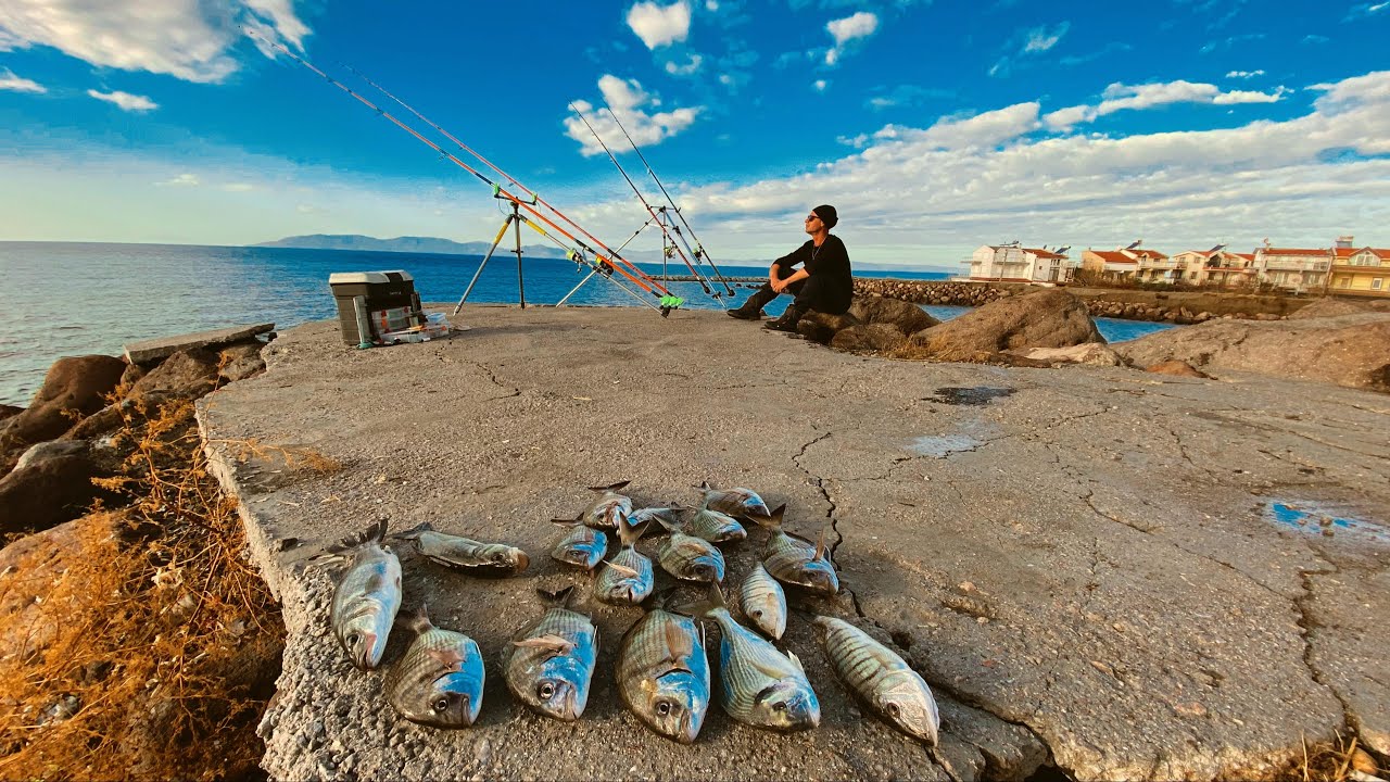 РЫБА, ПРИХОДЯЩАЯ В ЭТУ ПОГОДУ, НАС СОГРЕЛА, ТОРТ И ПОВАР ДОСТУПНЫ!!!