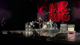 Mr. Big - Colorado Bulldog