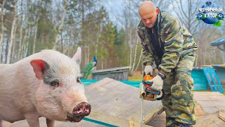 The family lives on a Belarusian forest farm. Only raccoons and moose were missing here. Spring