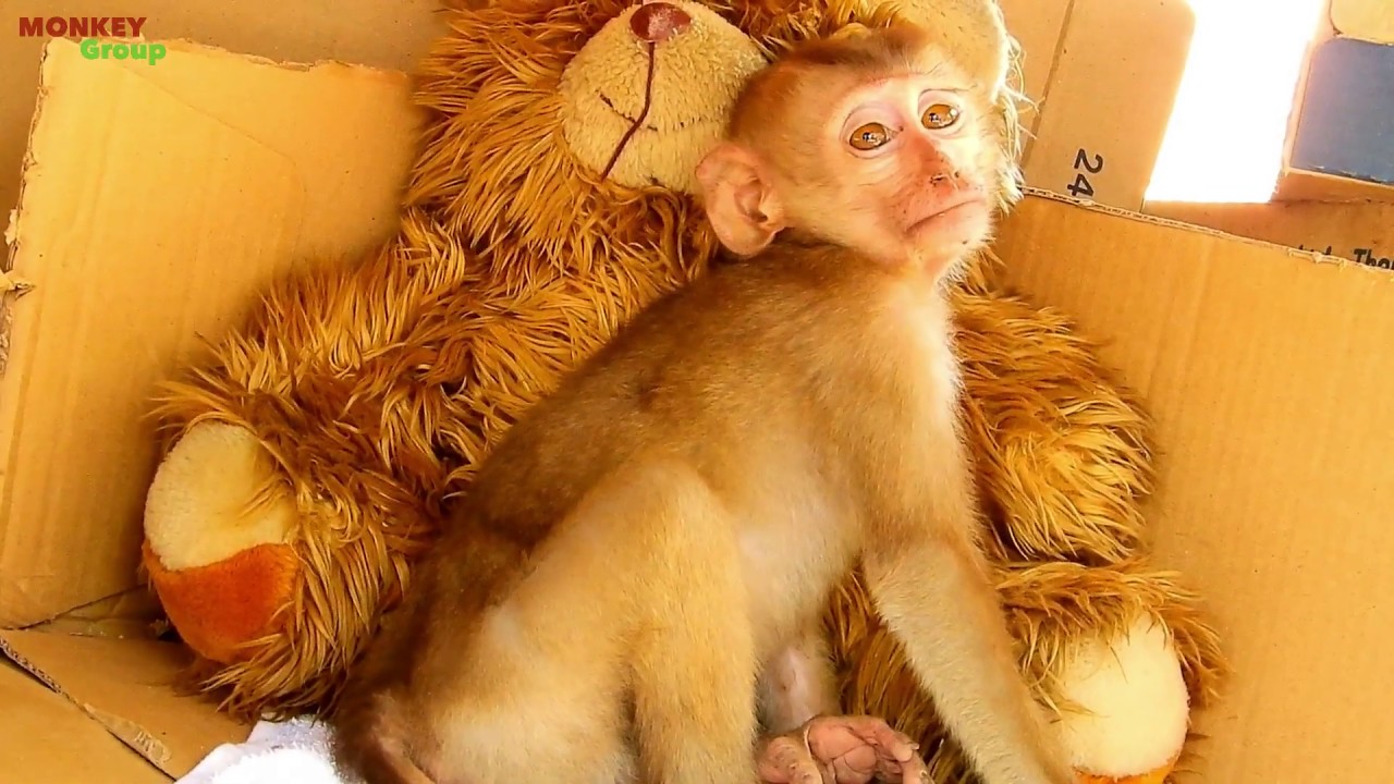 Poor orphan Axel feels warm sleep with doll