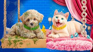 We Build a Secret Room for Pets! Rich Cat vs Poor Dog!