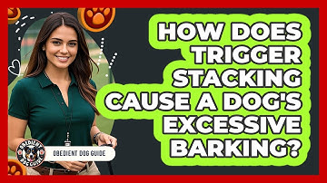How Does Trigger Stacking Cause A Dog