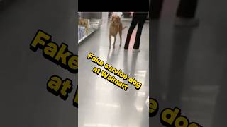 Fake service dog encounters real service dog! Please follow if you enjoy the content!