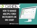 How to Manage Multiple Forex Instruments on one Chart