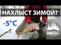 Ловля кумжи зимой. Наконец-то поймали! Первые рыбы в сезоне!