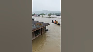 Nước lũ tràn về phát hiện một con báo bị mắt kẹt trên nóc nhà #funny #dongvat