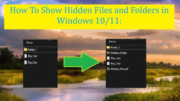 How to Show Hidden Files & Folders In Windows 11 / 10