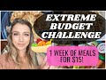 EXTREME BUDGET GROCERY CHALLENGE || EATING FOR $15 A WEEK || GROCERY HAUL & MEALS