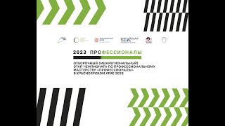 Отборочный этап Чемпионата &quot;Профессионалы&quot; по компетенции Реклама (основная линейка 1)