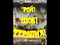 РОЕНИЕ!  ШОК ТЕРАПИЯ!  РОЙ НЕ УЛЕТЕЛ!!