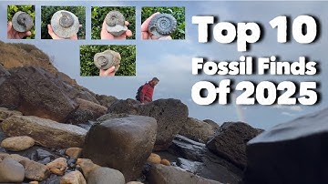 My Top 10 Fossil Finds Of 2025 - Before & After Videos - Hunting For Yorkshire Fossils UK Whitby