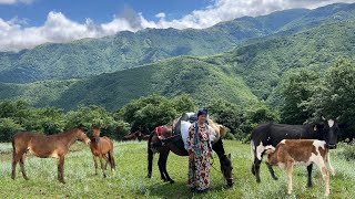 Caring for Pregnant Horses and other Animals on a Rainy Day