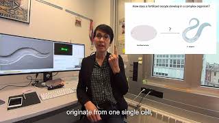 Prof. Monica Gottas Laboratory Research On Cell Division And Development