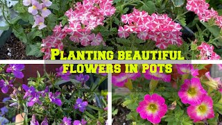 Planting Beautiful Flowers In Pots Promise Rodriguez