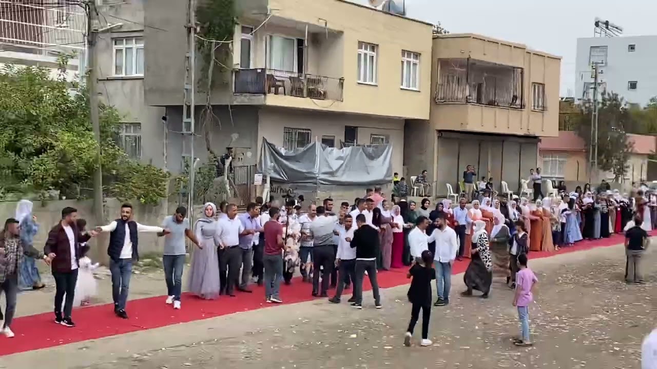 Şiyar Berwari Adana Şakirpaşa hizanlıların düğünü