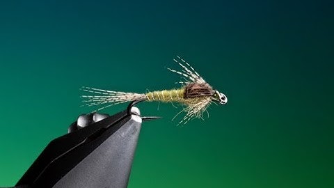 Fly Tying a BWO nymph with Barry Ord Clarke