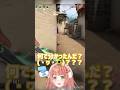 【0.03秒の狙撃 / shorts版】最強の反射神経で神ショットを繰り出すひまちゃん【VALORANT / 本間ひまわり】
