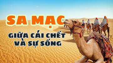Sa Mạc Là Gì - Sa Mạc Có Gì Ngoài Cát?
