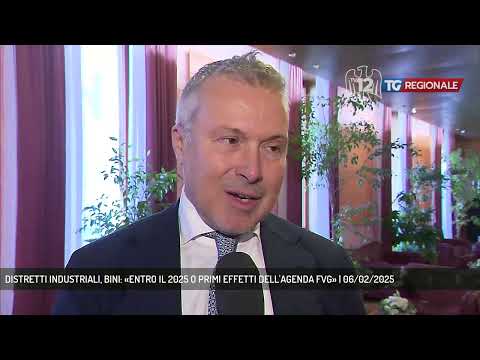 DISTRETTI INDUSTRIALI, BINI: «ENTRO IL 2025 O PRIMI EFFETTI DELL'AGENDA FVG» | 06/02/2025