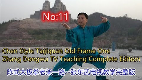 陳式太極拳張東武【老架一路】11 教學視頻完整版Chen Style Taiji Old Frame one Zhang Dongwu Video Course Complete Version 11