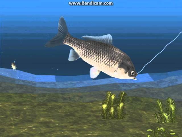 Reel Fishing II: HD Gameplay (PS TV) 