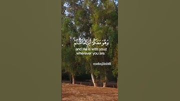 ألا بذكر الله تطمئن القلوب. تلاوة من سورة الحديد للقارئ شريف مصطفى