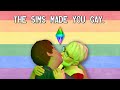 Did the sims make you gay  a essay