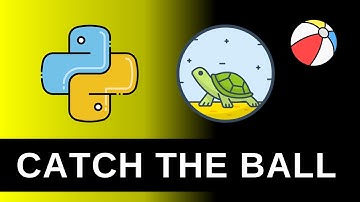 Top Python Turtle Game You Won