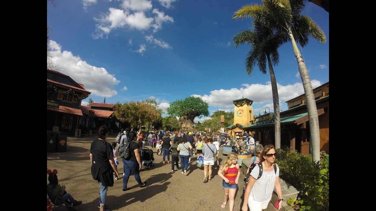 Animal Kingdom After December 25 2018 Crowds and extra footage