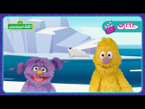 أهلا سمسم الموسم الثامن الحلقة 3 درس الحيوانات في أهلا سمسم