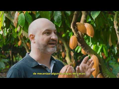 Cacau Show: compromiso con la calidad y la producción sostenible. Serie #AgroQueInspira