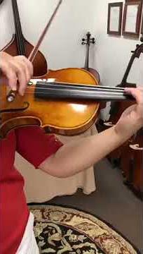 Joseph Guarnerius Del Gesu