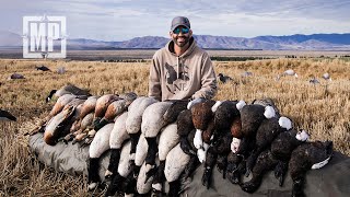 Stubble Field Hunting: New Zealand | The Journey Within  Mark V. Peterson Hunting