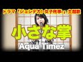 【歌ってみた】小さな掌 / Aqua Timez