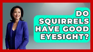 Do Squirrels Have Good Eyesight? - The Wild Life Explorer