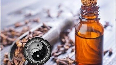 Essential Oil Basics - My 3 favorite daily oils